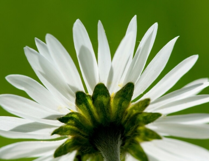 Антистресс - Санаторий «Бирюза» Сочи