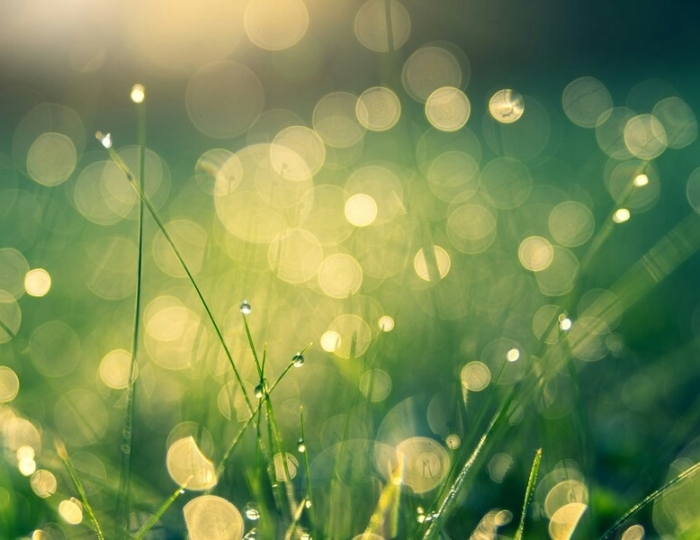 Лайт плюс - Санаторий «Бирюза» Сочи